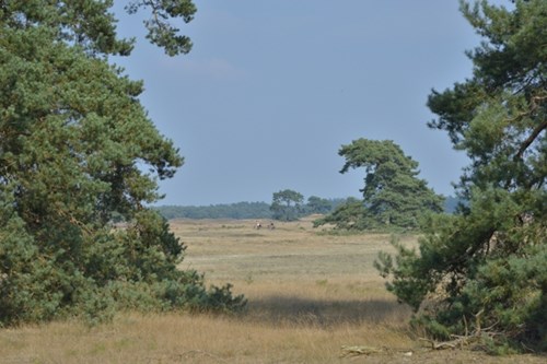 NIK_0296.JPG