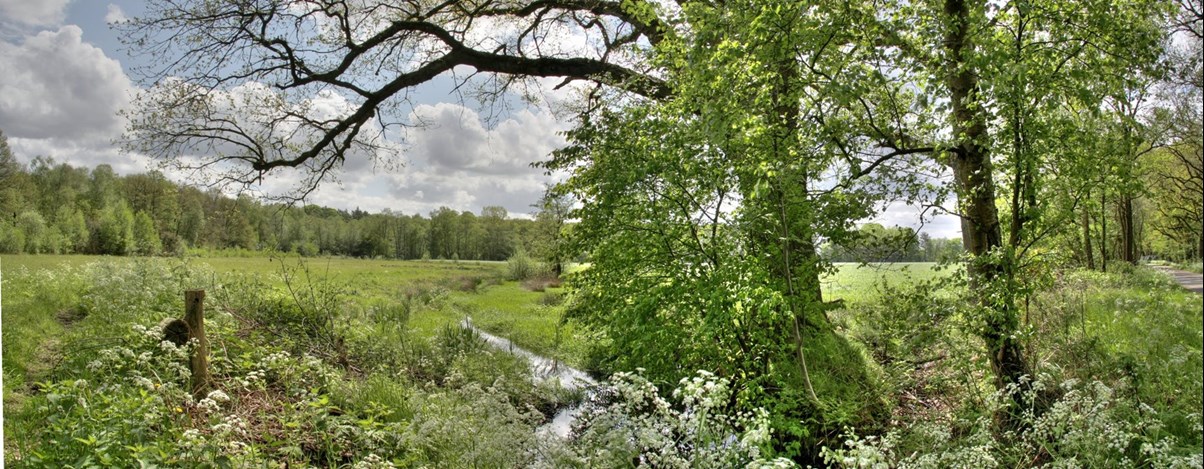 Omgeving Kreel Panorama 3.jpg