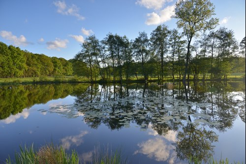 fietsen langs het water in ede.JPG